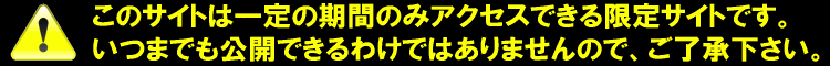 ネット競馬限定サイト・ブログ